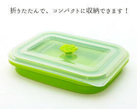 レンジで簡単シリコンスチーマー 3