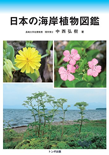 学校のまわりでさがせる植物図鑑 ハンディ版 春 夏 秋冬 樹木 全4冊