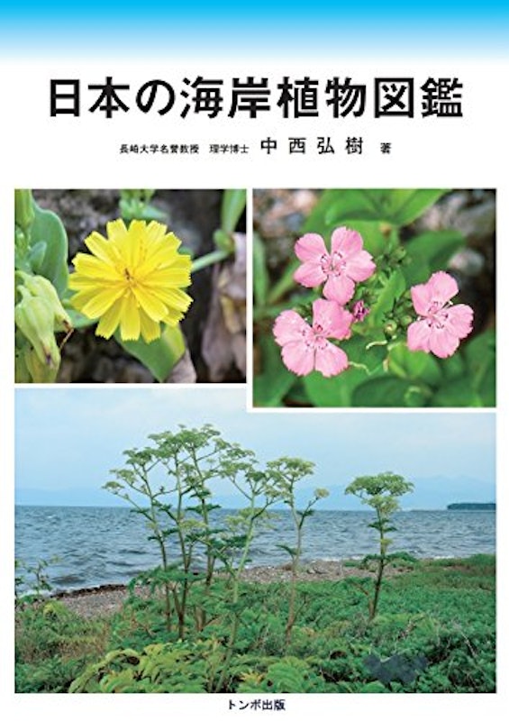 日本の海岸植物図鑑 1