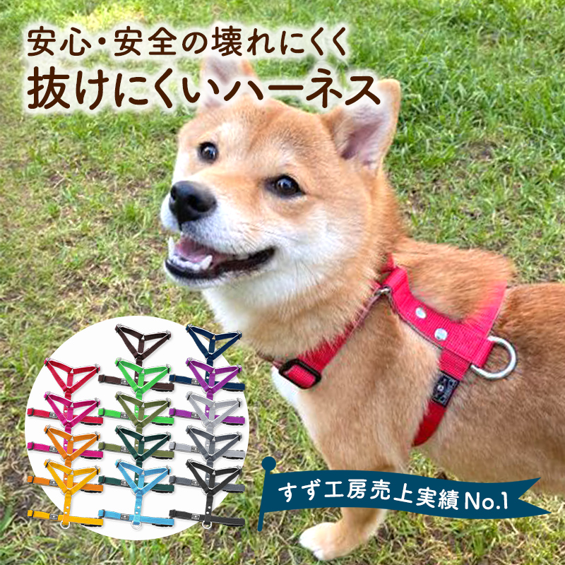22年 小型犬用ハーネスのおすすめ人気ランキング28選 Mybest