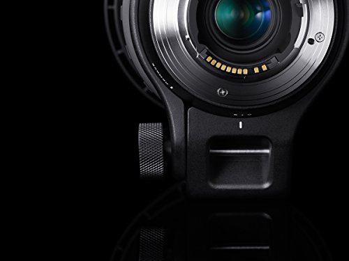 150-600mm F5-6.3 DG OS HSM Contemporary 7
