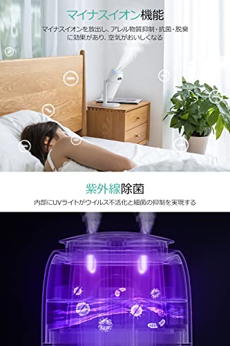 コードレス加湿器のおすすめ人気ランキング34選【2024年】 | マイベスト