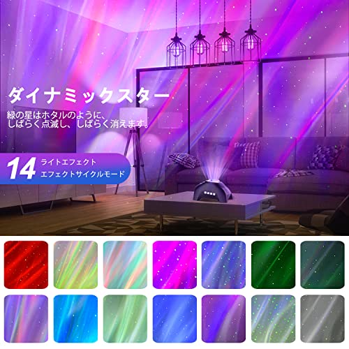 CIMELR プラネタリウム 2
