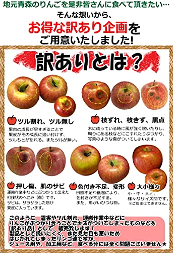 りんご ふじ 訳あり 5