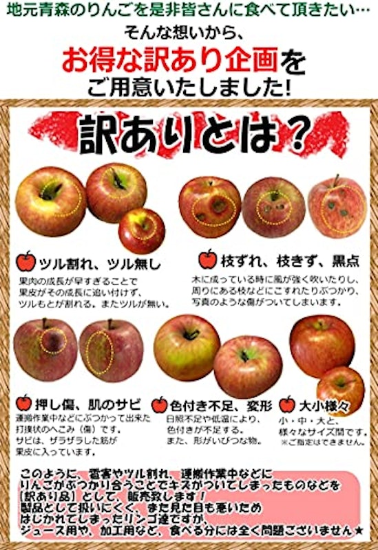 りんご ふじ 訳あり 5