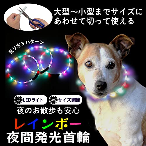 レインボー夜間発光首輪 2