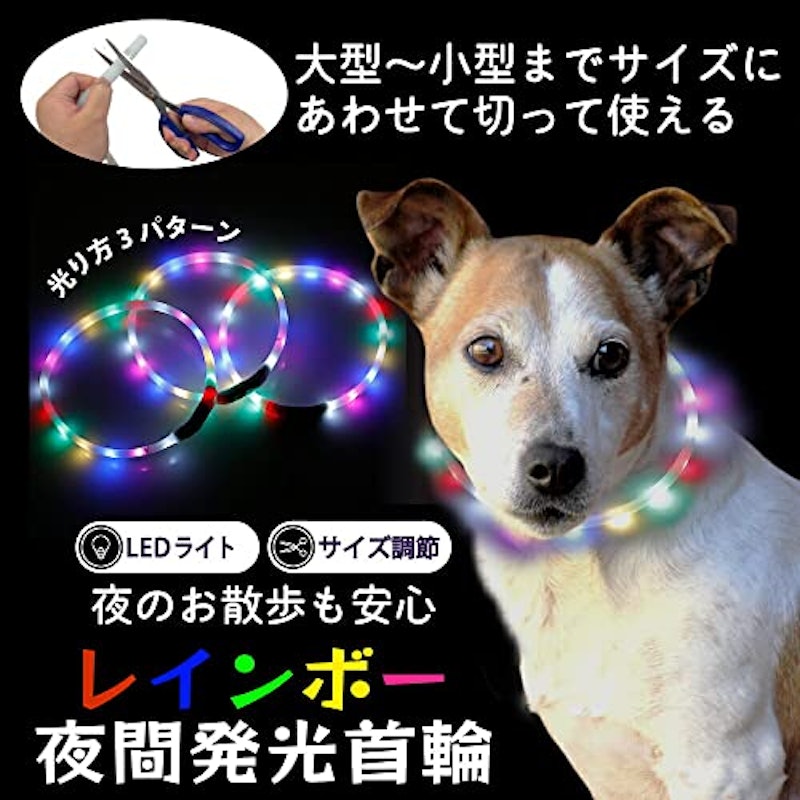 レインボー夜間発光首輪 2