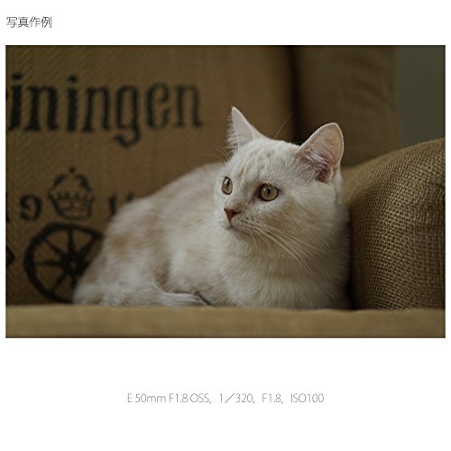 E 50mm F1.8 OSS 11
