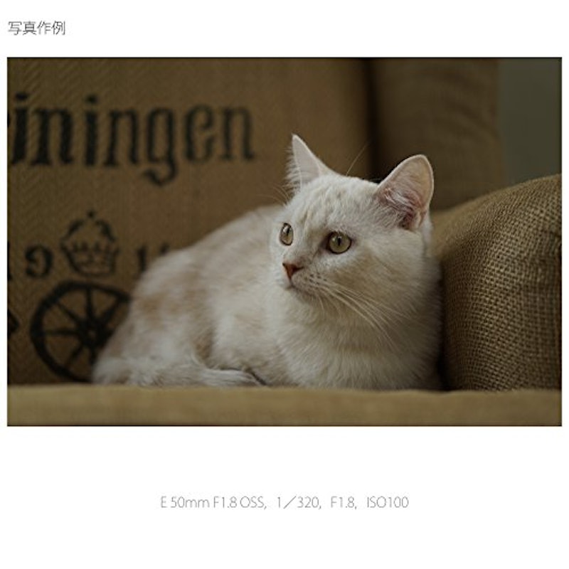 E 50mm F1.8 OSS 11