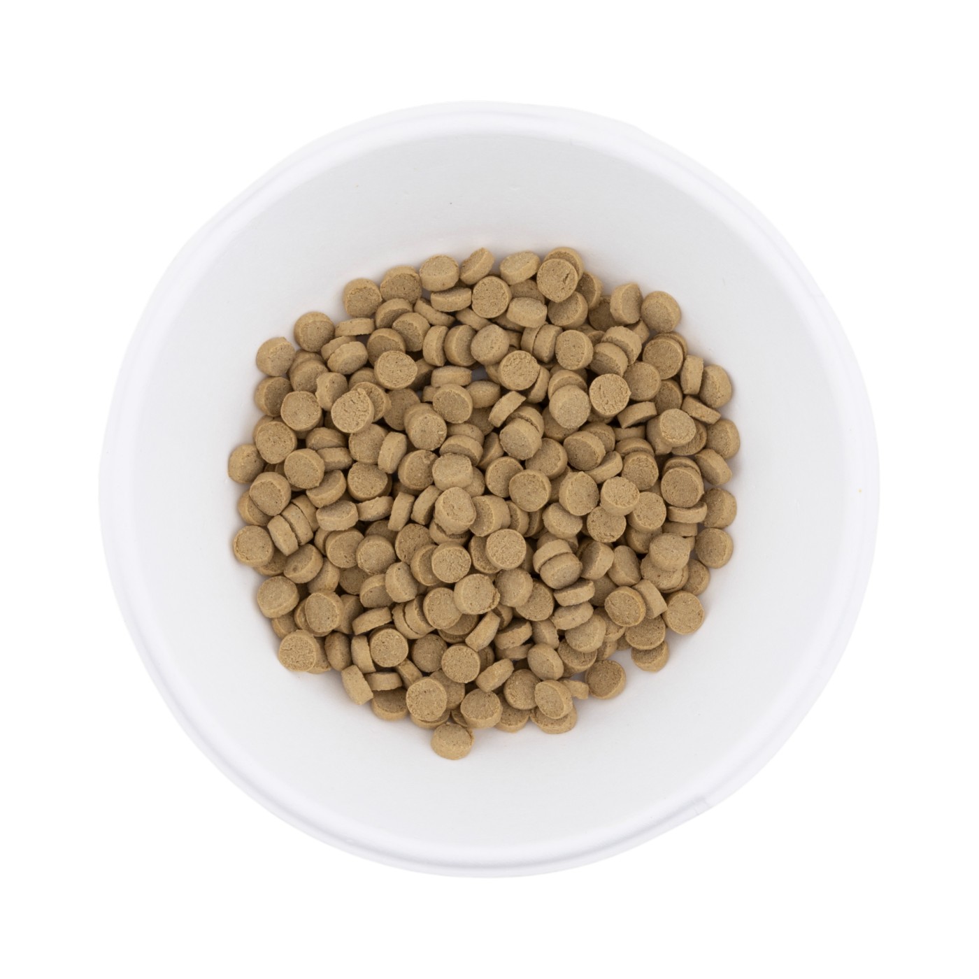 徹底比較】成犬用ドッグフードのおすすめ人気ランキング【2026年1月