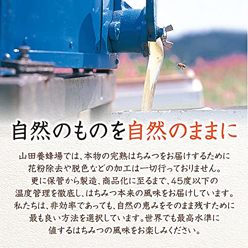 有機 アカシア蜂蜜 3