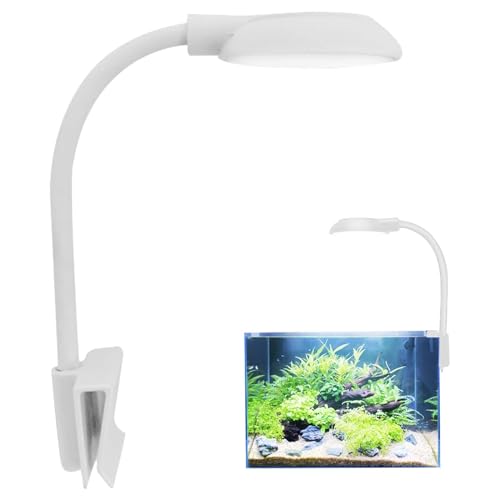 水槽用ライトのおすすめ人気ランキング【2025年12月】 | マイベスト
