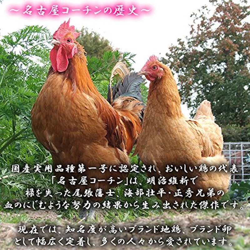 名古屋コーチンの卵 4