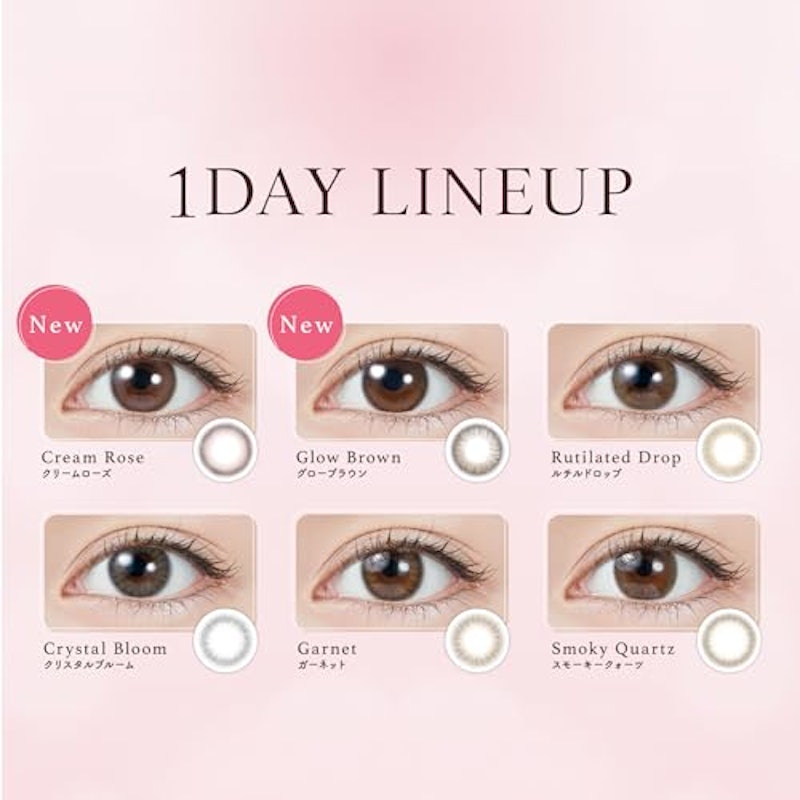 グローブラウン 1day 4