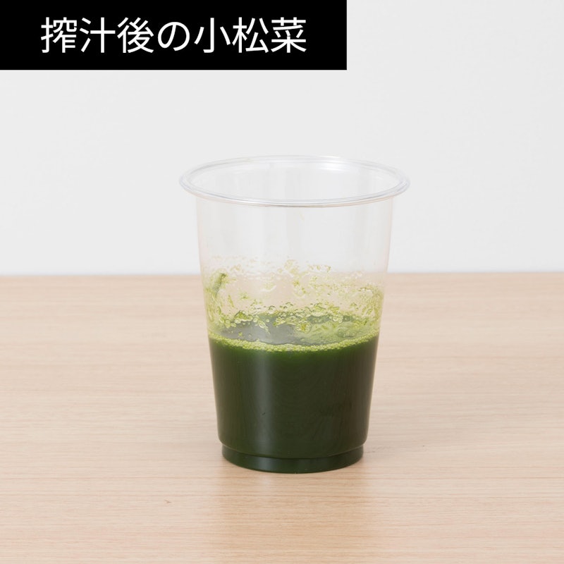 スロージューサー 12