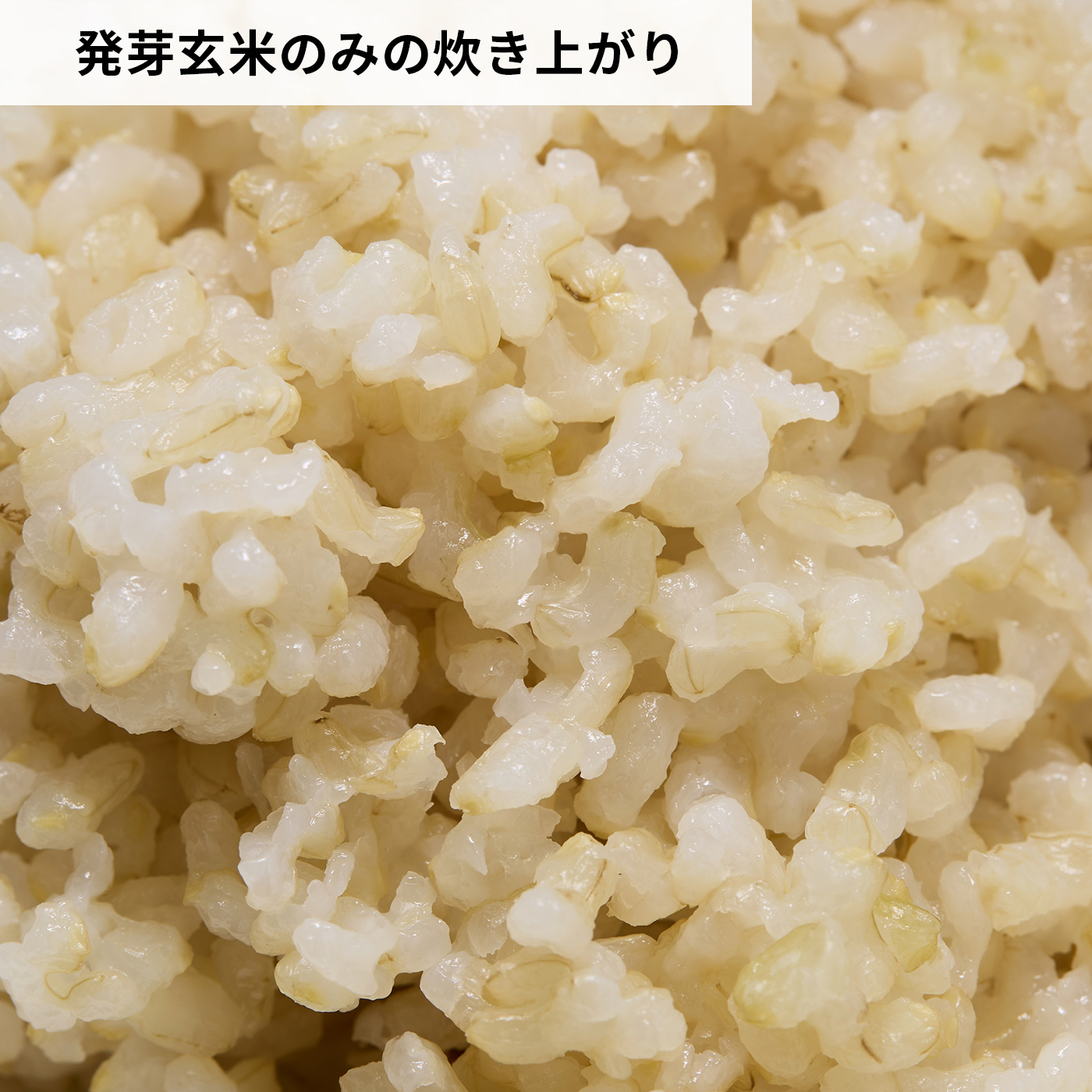 玄氣 6