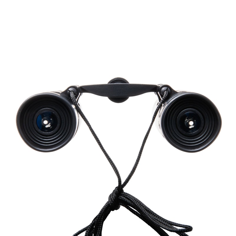 V-TEX 12×25DH 双眼鏡 4