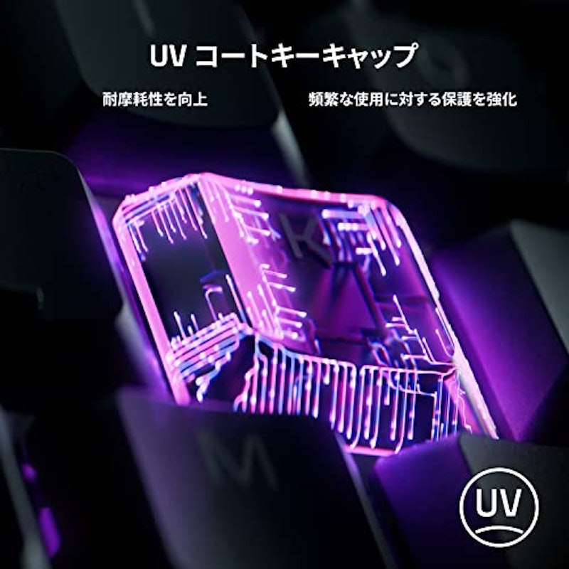 Ornata V3 X 4