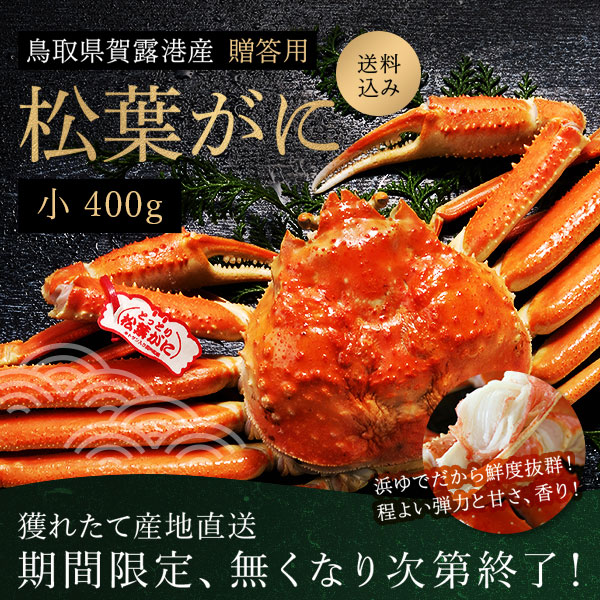 鳥取県産 贈答用 松葉ガニ 2