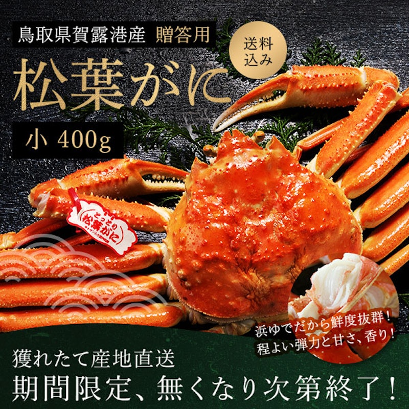 鳥取県産 贈答用 松葉ガニ 2