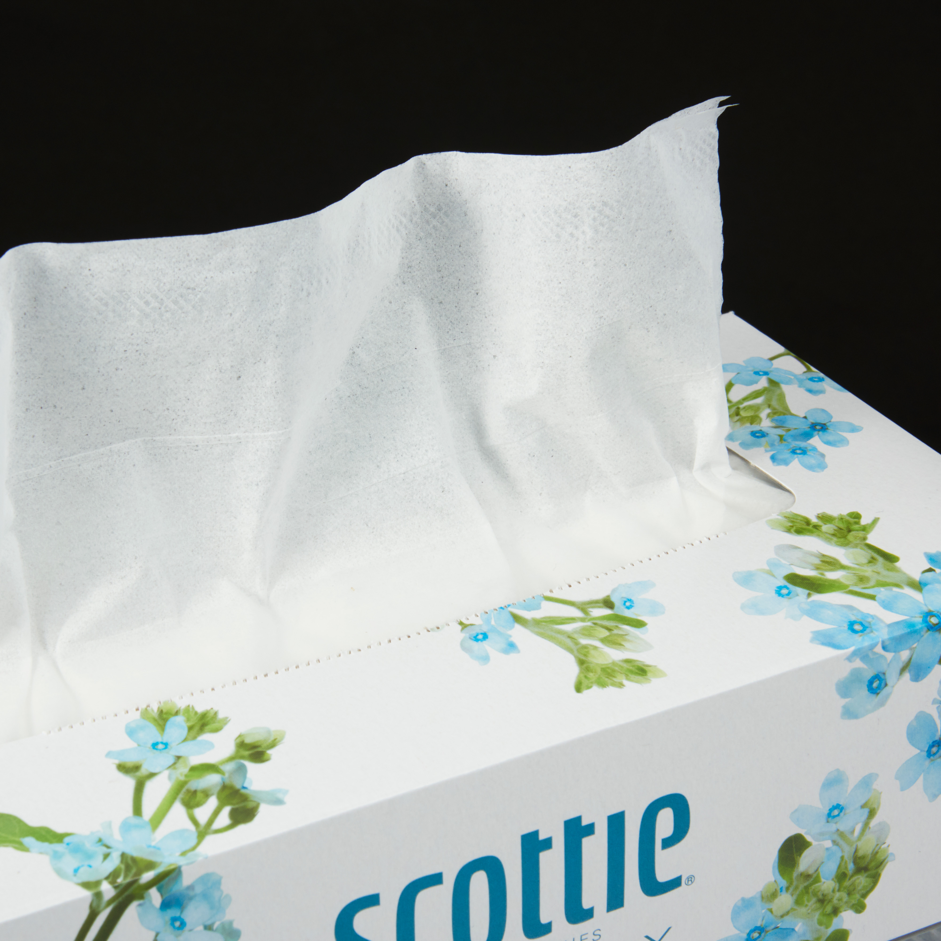 日本製紙クレシア Scottie スコッティ ティシュー フラワーボックスを