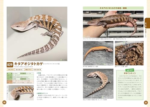 飼いたい種類が見つかる爬虫類・両生類図鑑 5