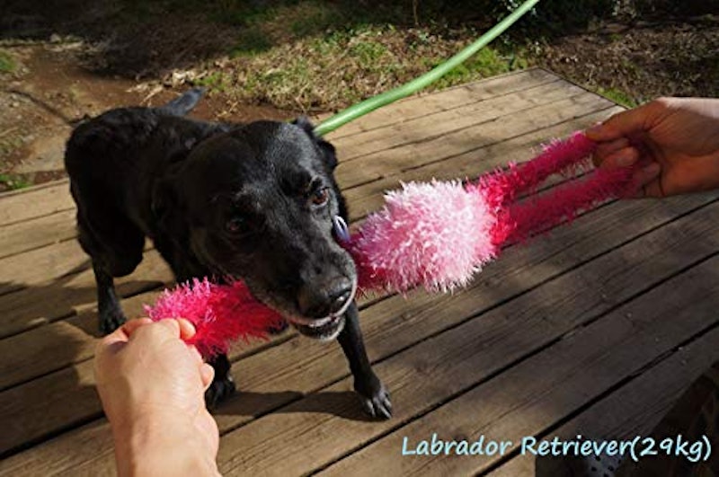 22年 犬用噛むおもちゃのおすすめ人気ランキング23選 Mybest 22年 犬用噛むおもちゃのおすすめ人気ランキング23選 Mybest