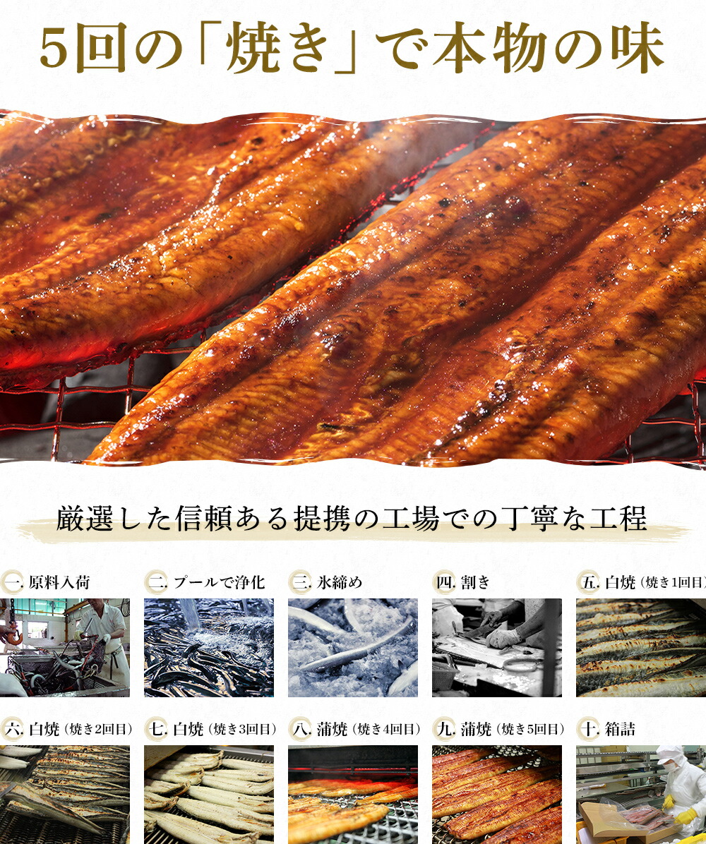 にほんうなぎ蒲焼き 7