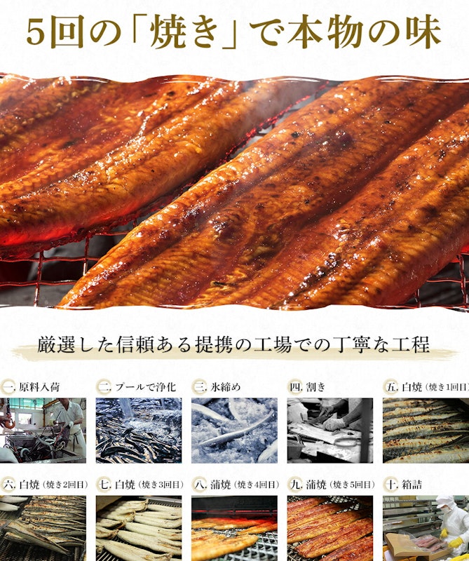 にほんうなぎ蒲焼き 7