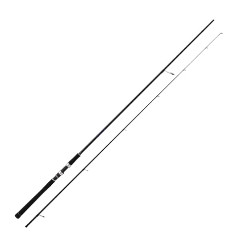 シーバスロッド 1