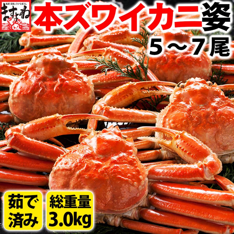 本ずわい蟹姿 1