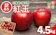 山形県西川町 ご家庭・加工用 山形県産 りんご 紅玉 1