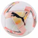 プーマジャパン フットサル競技ボール 1