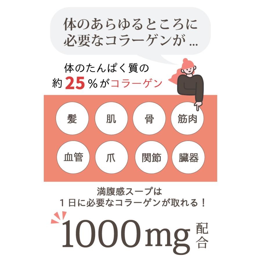 カラダ美めぐりプロテインスープ 10