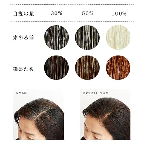ナチュラルハーブカラー、ヘナ、白髪染め、カラーリング剤 楽天市場】ヘナ 白髪染め ナチュラル カラートリートメント 100