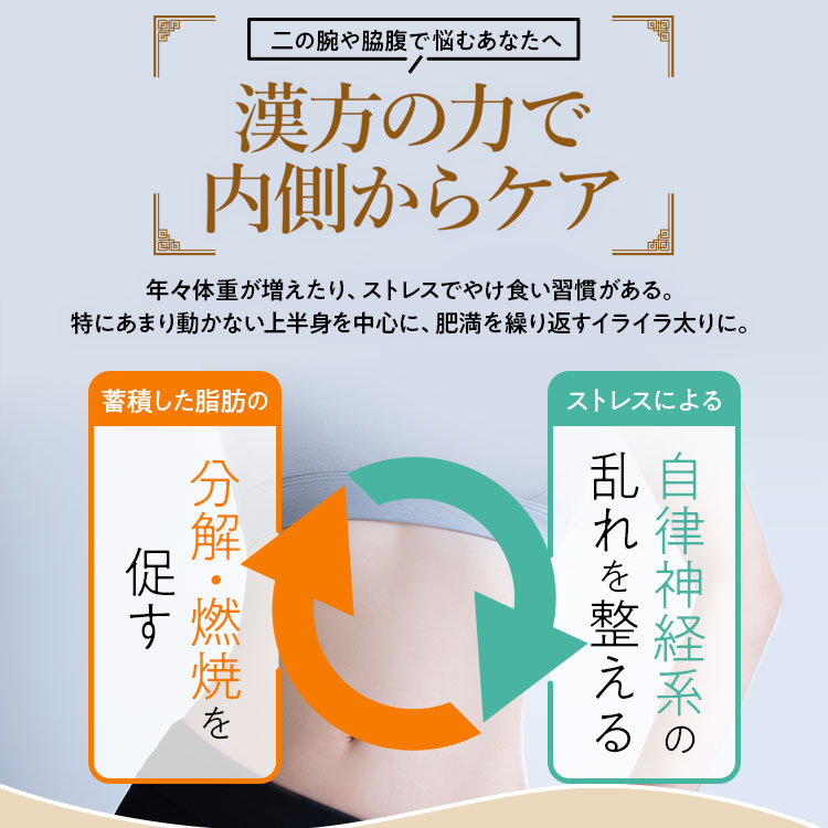 生漢煎 大柴胡湯錠SP 8