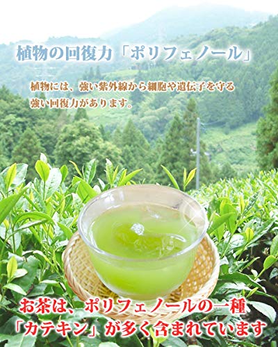 茶和家 秋番茶 7