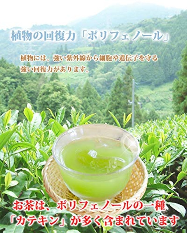 茶和家 秋番茶 7