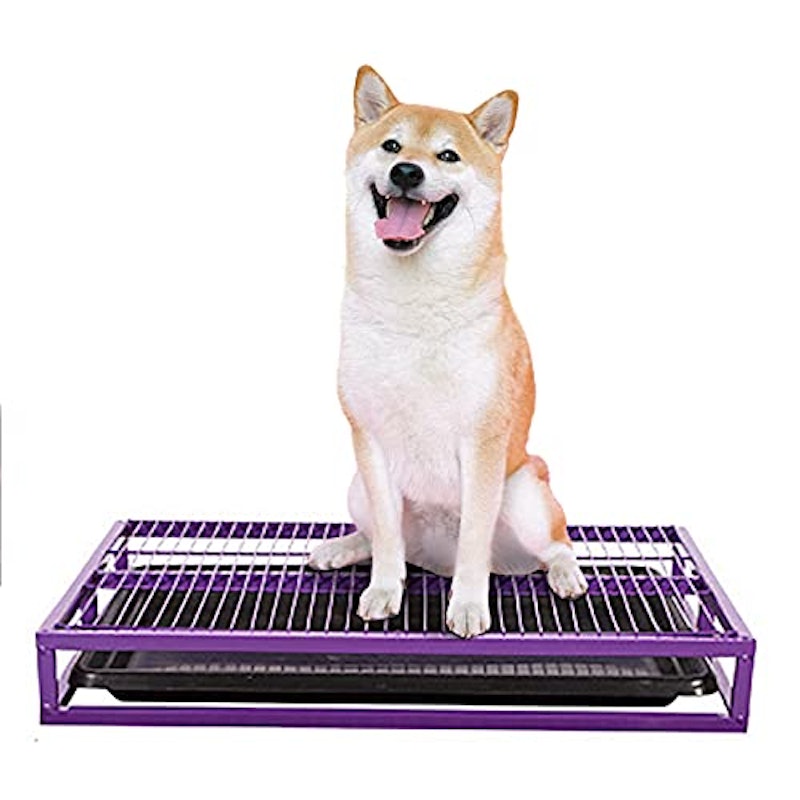 犬用トイレトレー 1