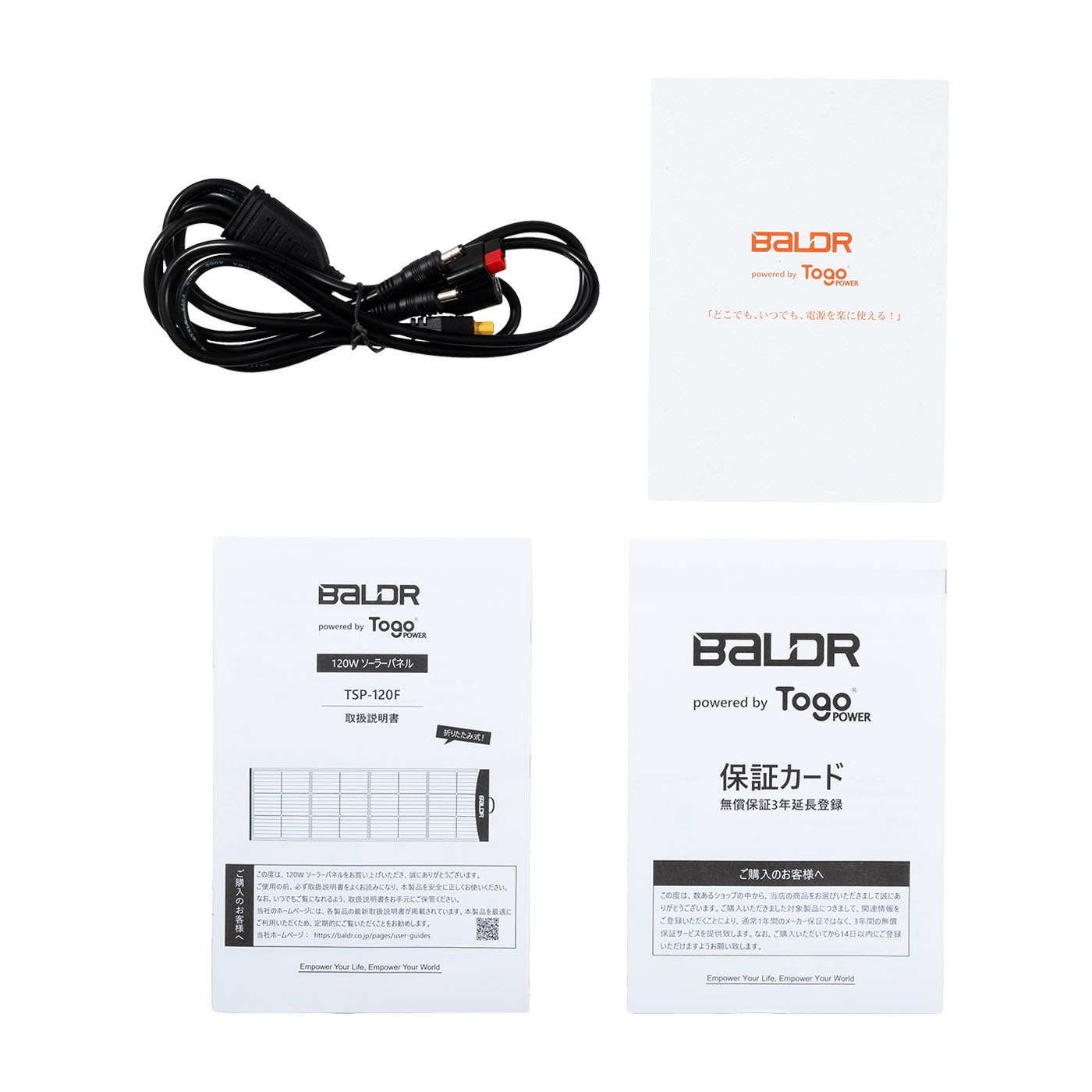 BALDR PIONEER 120W ソーラーパネル 太陽光パネル 6