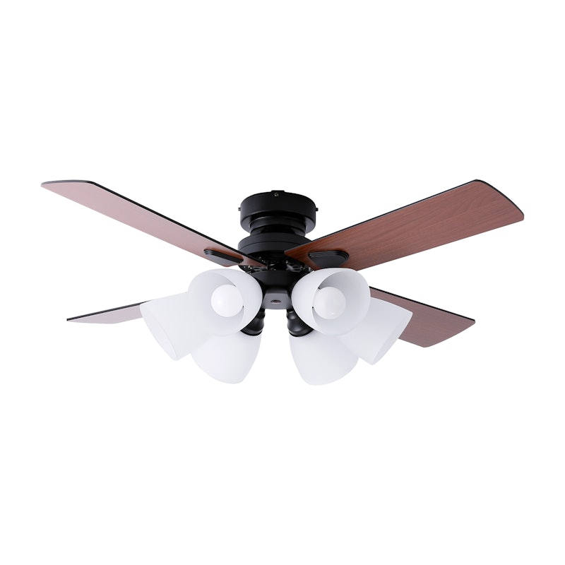 ベガコーポレーション LOWYA Lasvolta 6Lを検証レビュー!シーリング ベガコーポレーション LOWYA Lasvolta 6Lを検証レビュー!シーリング