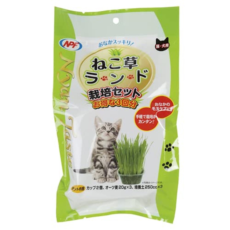 ねこ草ランド 栽培セット 1
