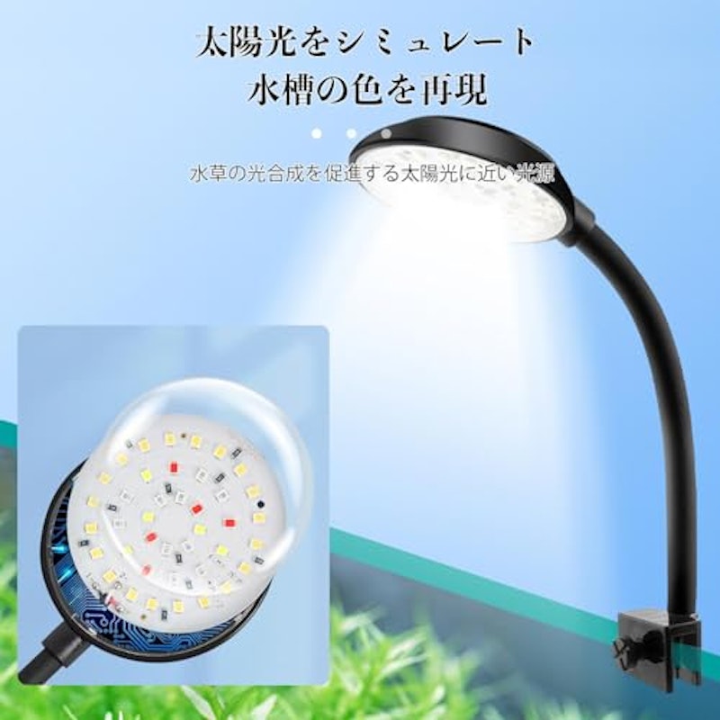 水槽ライト 6