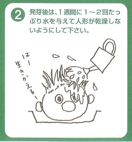 イタリアンライグラス（牧草）の楽しい栽培キット のび～るくん 6