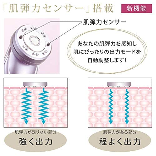 ツインエレナイザープレミアム ホームエステプレミアムセット 6