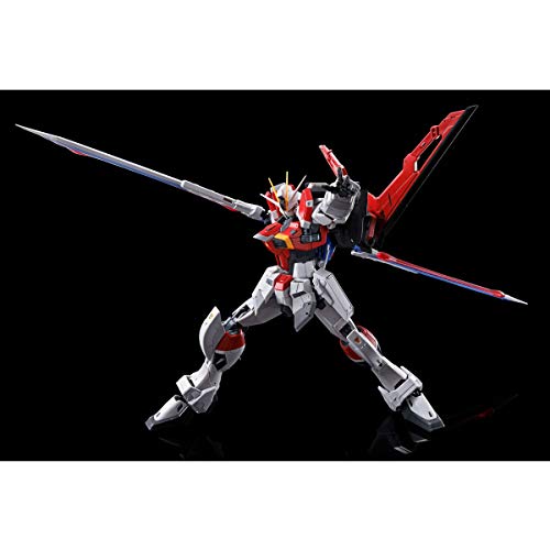 RG 1/144 ソードインパルスガンダム 2