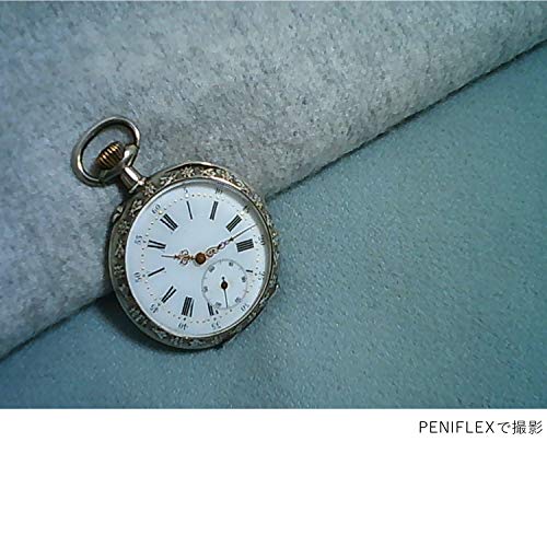 トイカメラ PIENIFLEX 9