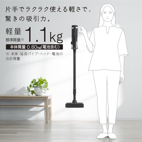 ラクかるスティック 2