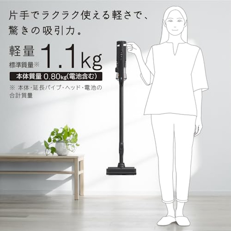 ラクかるスティック 2