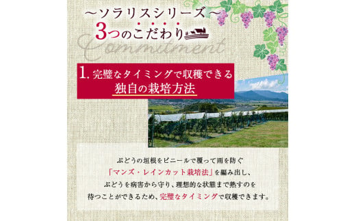 ソラリス ラ・クロワ 5
